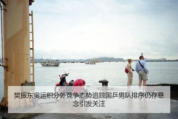 樊振东奥运积分外竞争态势追踪国乒男队排序仍存悬念引发关注